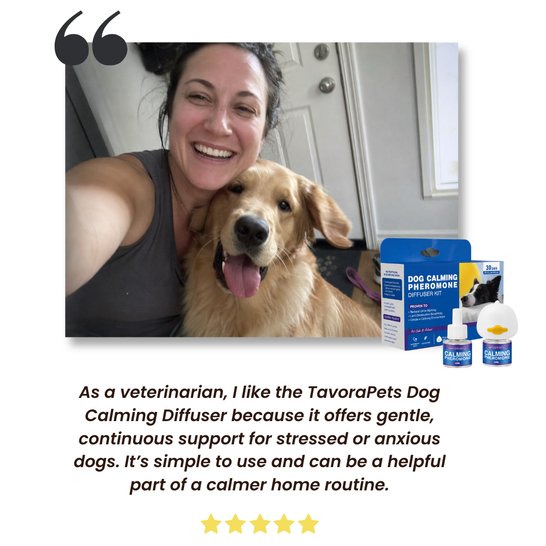 Dog Calming Diffuser Kit