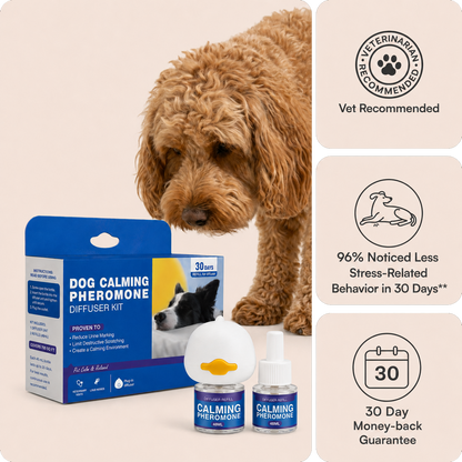 Dog Calming Diffuser Kit