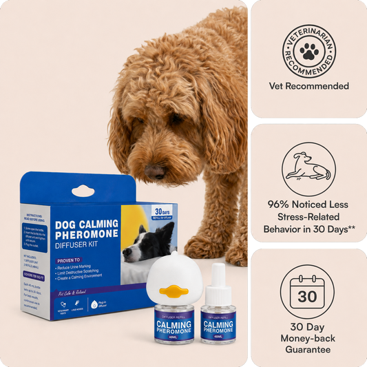 Dog Calming Diffuser Kit
